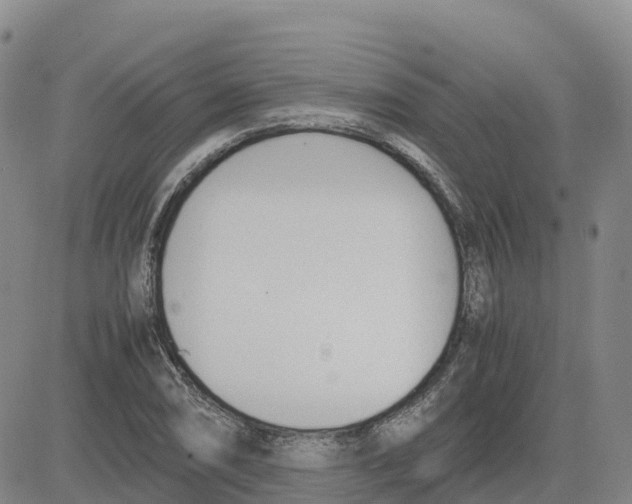 X0000083011074200702231806