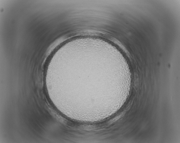 X0000083011075200702231806