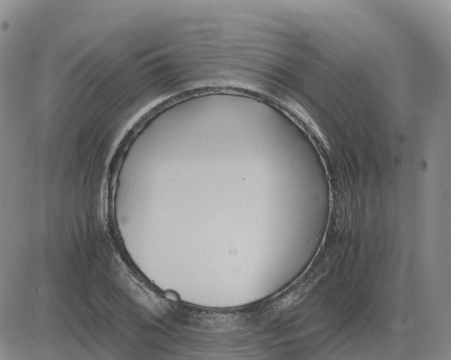 X0000083011076200702231806