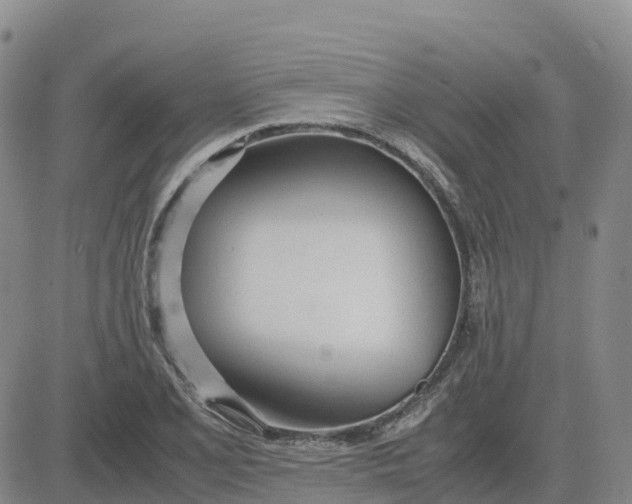 X0000083011077200702231806