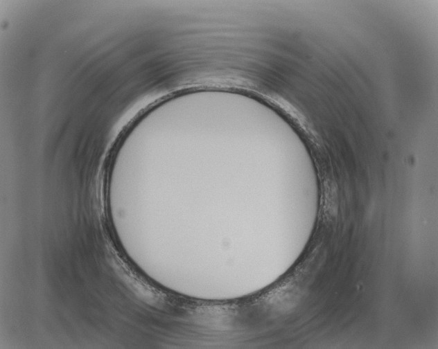 X0000083011078200702231806