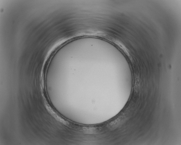 X0000083011080200702231806