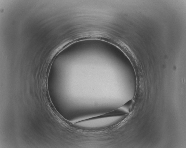 X0000083011081200702231806