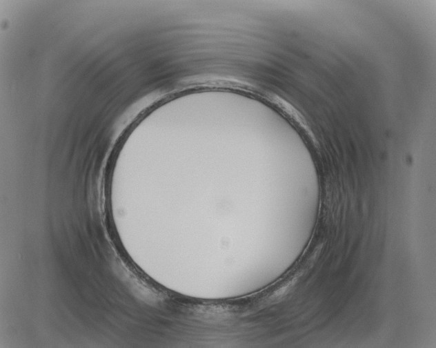 X0000083011082200702231806