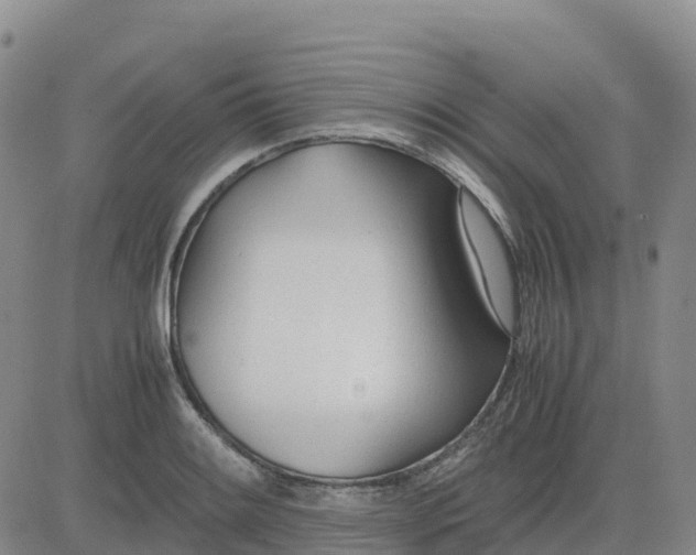 X0000083011084200702231806