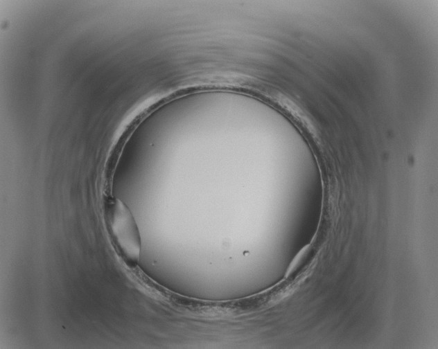 X0000083011085200702231806