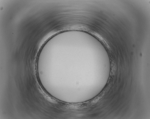 X0000083011086200702231806