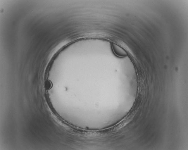 X0000083011087200702231806