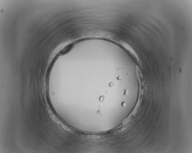 X0000083011088200702231806