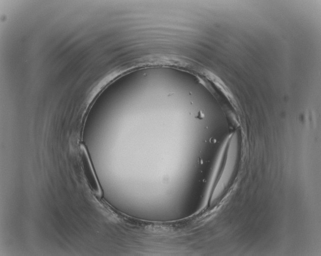 X0000083011089200702231806