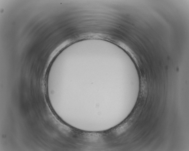 X0000083011090200702231806