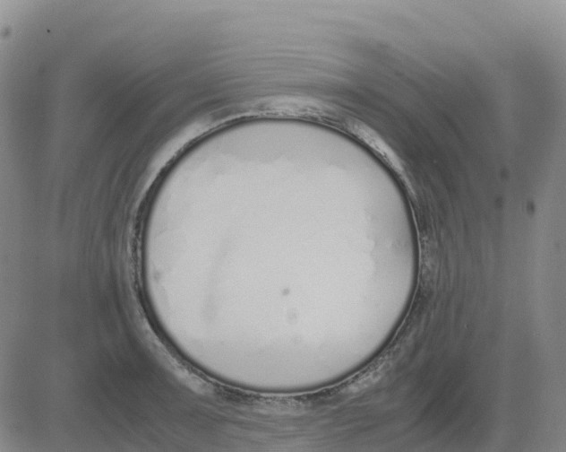 X0000083011091200702231806