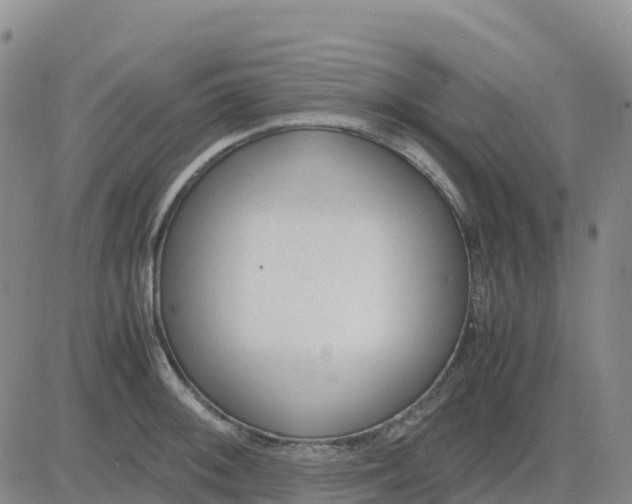 X0000083011092200702231806