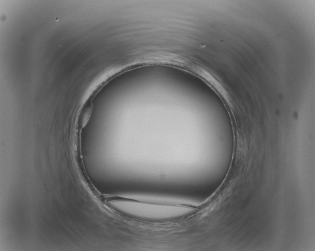 X0000083011093200702231806