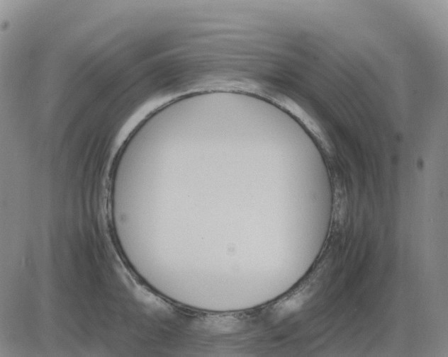 X0000083011094200702231806