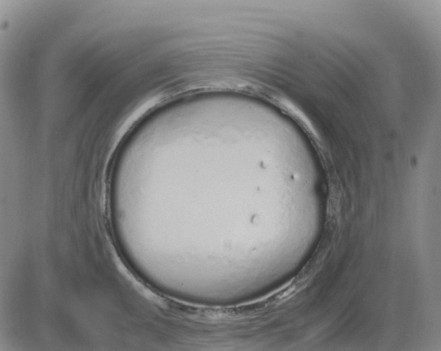 X0000083011095200702231806