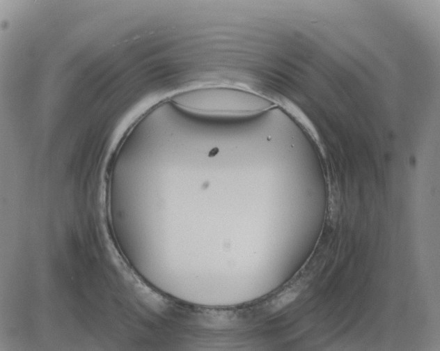 X0000083011096200702231806