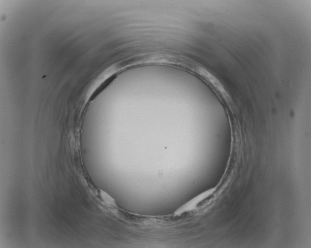 X0000083011097200702231806