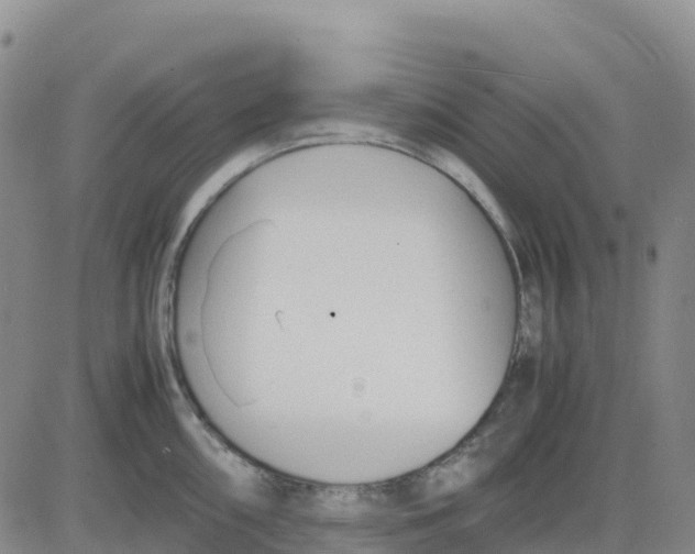 X0000083011098200702231806