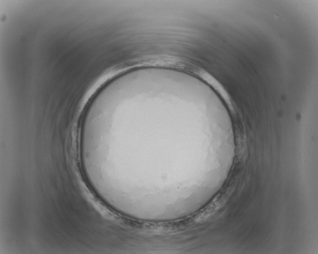 X0000083011099200702231806