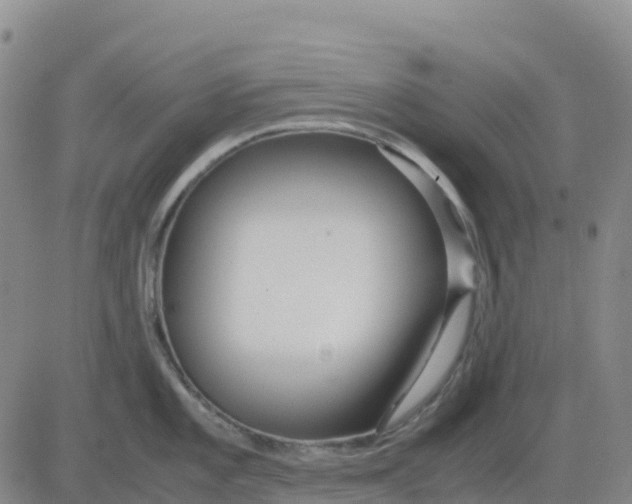 X0000083011101200702231806