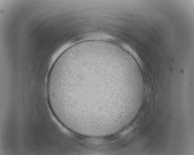 X0000083011103200702231806