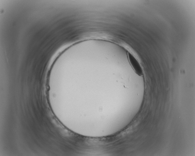 X0000083011104200702231806