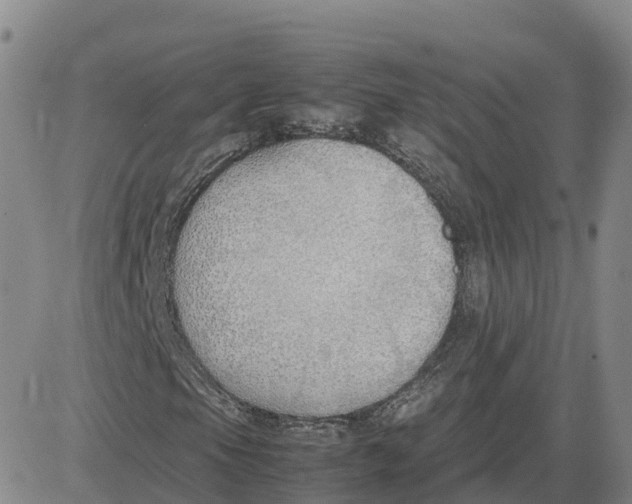 X0000083011105200702231805