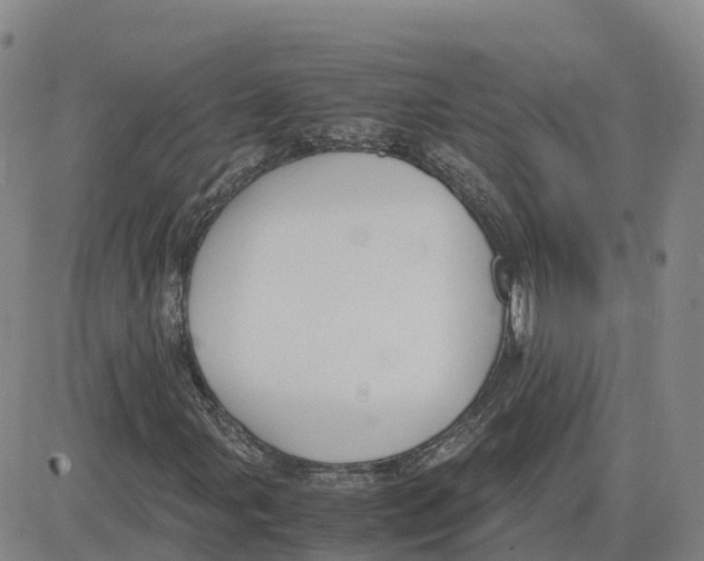 X0000083011107200702231805