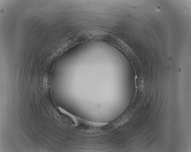 X0000083011108200702231805