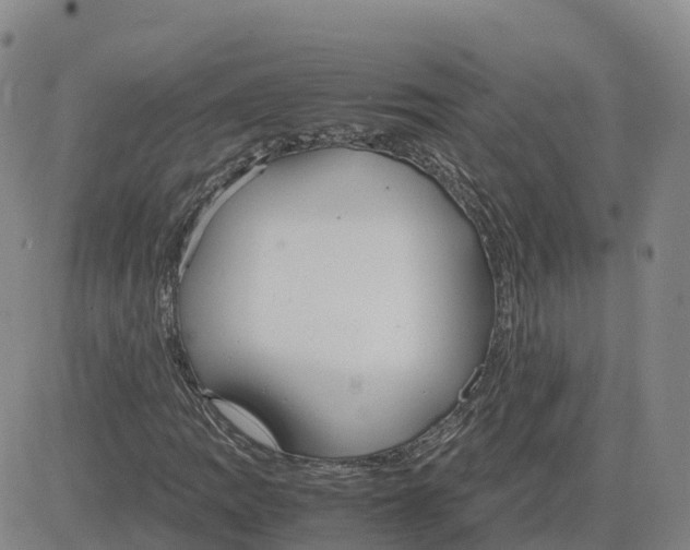 X0000083011109200702231805