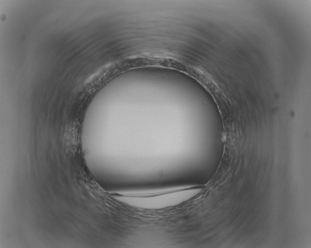 X0000083011110200702231805