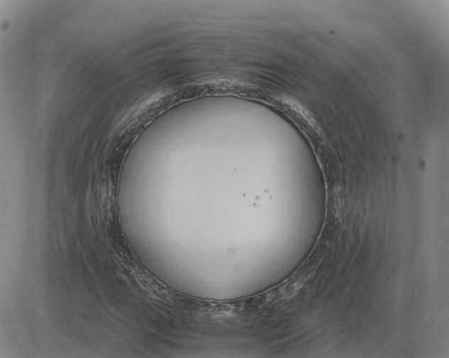 X0000083011111200702231805