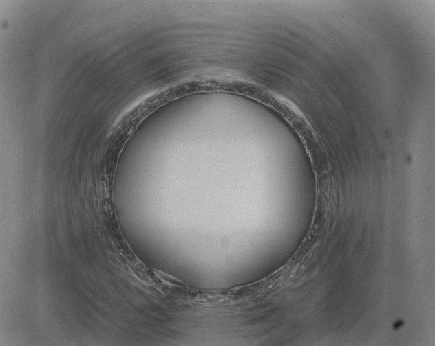 X0000083011112200702231805