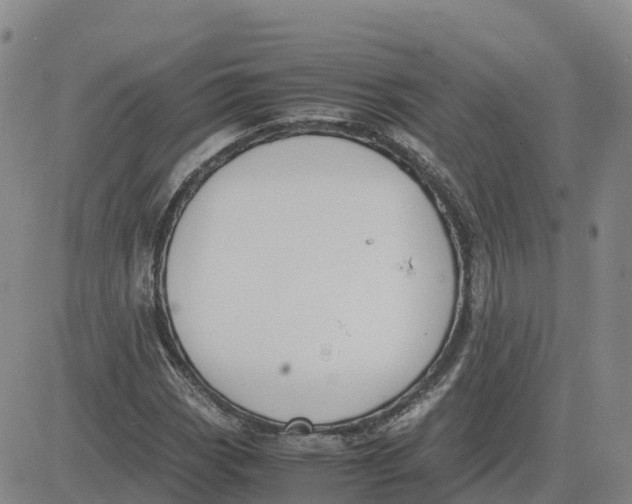 X0000083011113200702231805