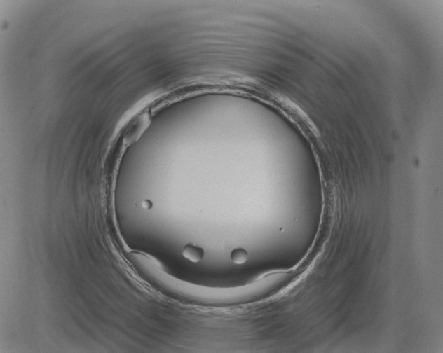 X0000083011114200702231805