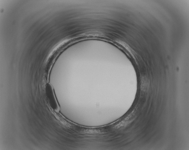 X0000083011115200702231805