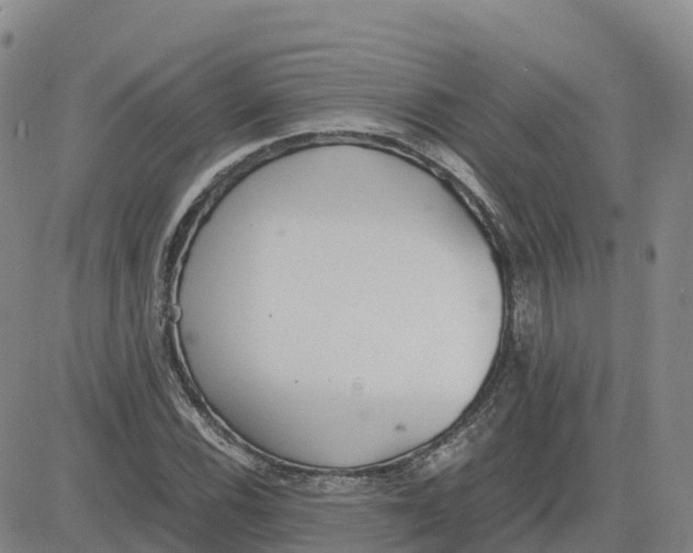 X0000083011116200702231805