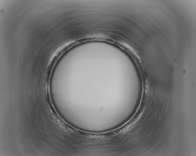 X0000083011117200702231805