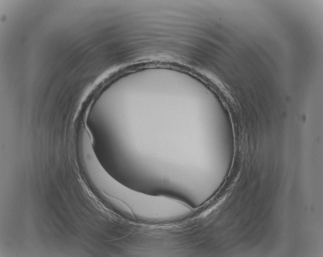 X0000083011118200702231805