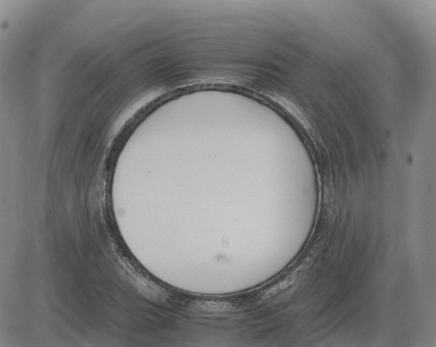 X0000083011119200702231805