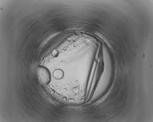 X0000083011121200702231805