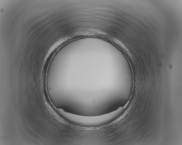 X0000083011122200702231805