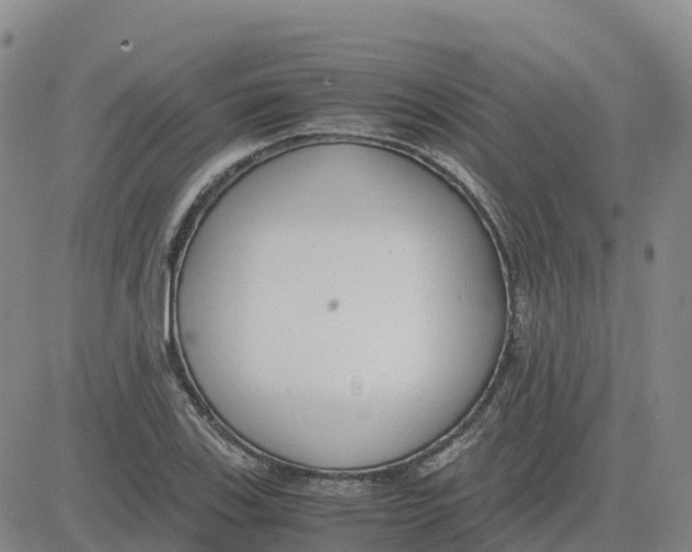 X0000083011123200702231805