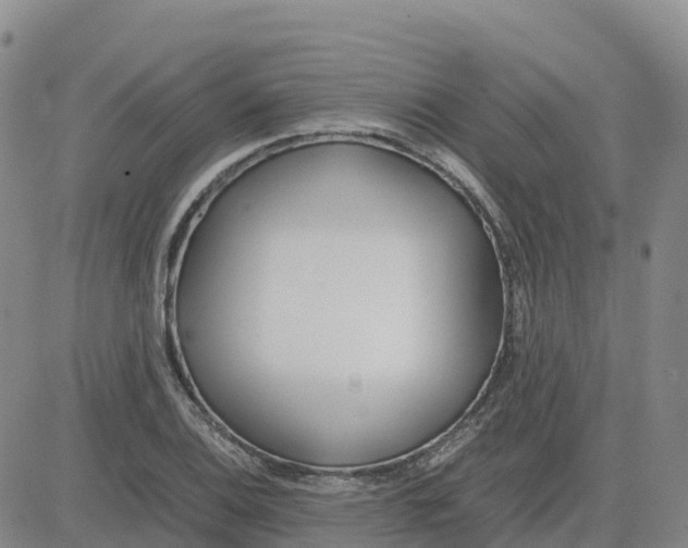 X0000083011124200702231805