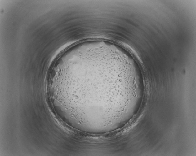 X0000083011125200702231805