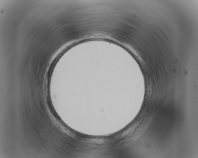 X0000083011126200702231805