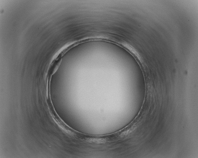 X0000083011127200702231805