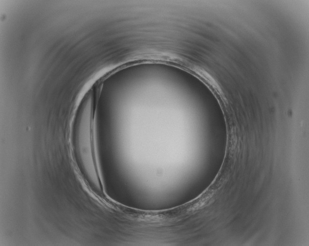 X0000083011128200702231805