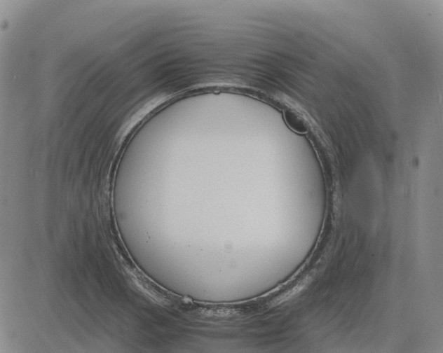 X0000083011129200702231805